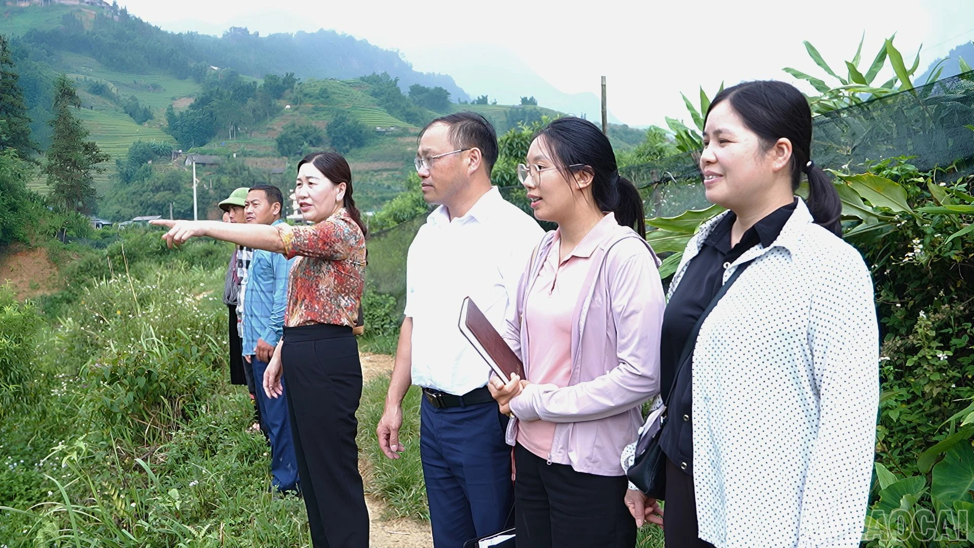 baolaocai-br_thiet-ke-chua-co-ten-33.jpg