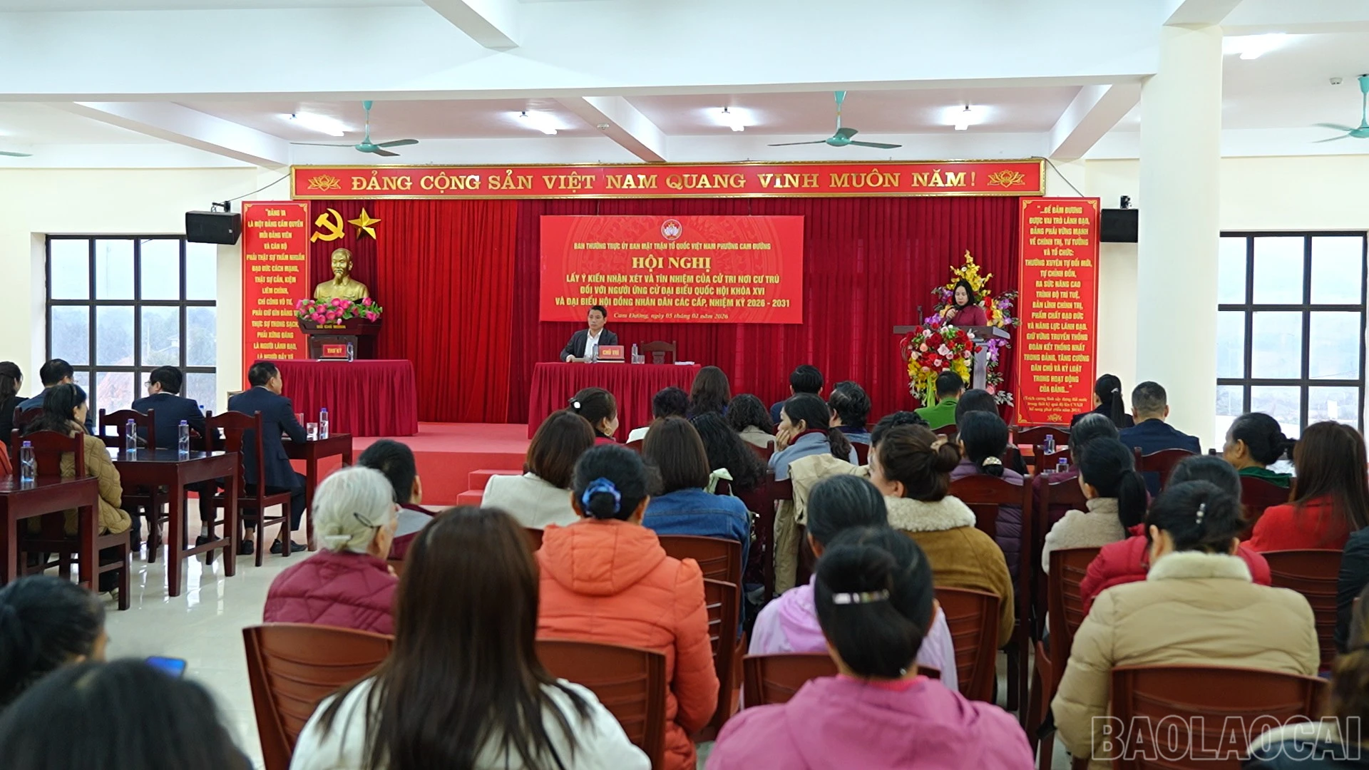 baolaocai-br_5.jpg