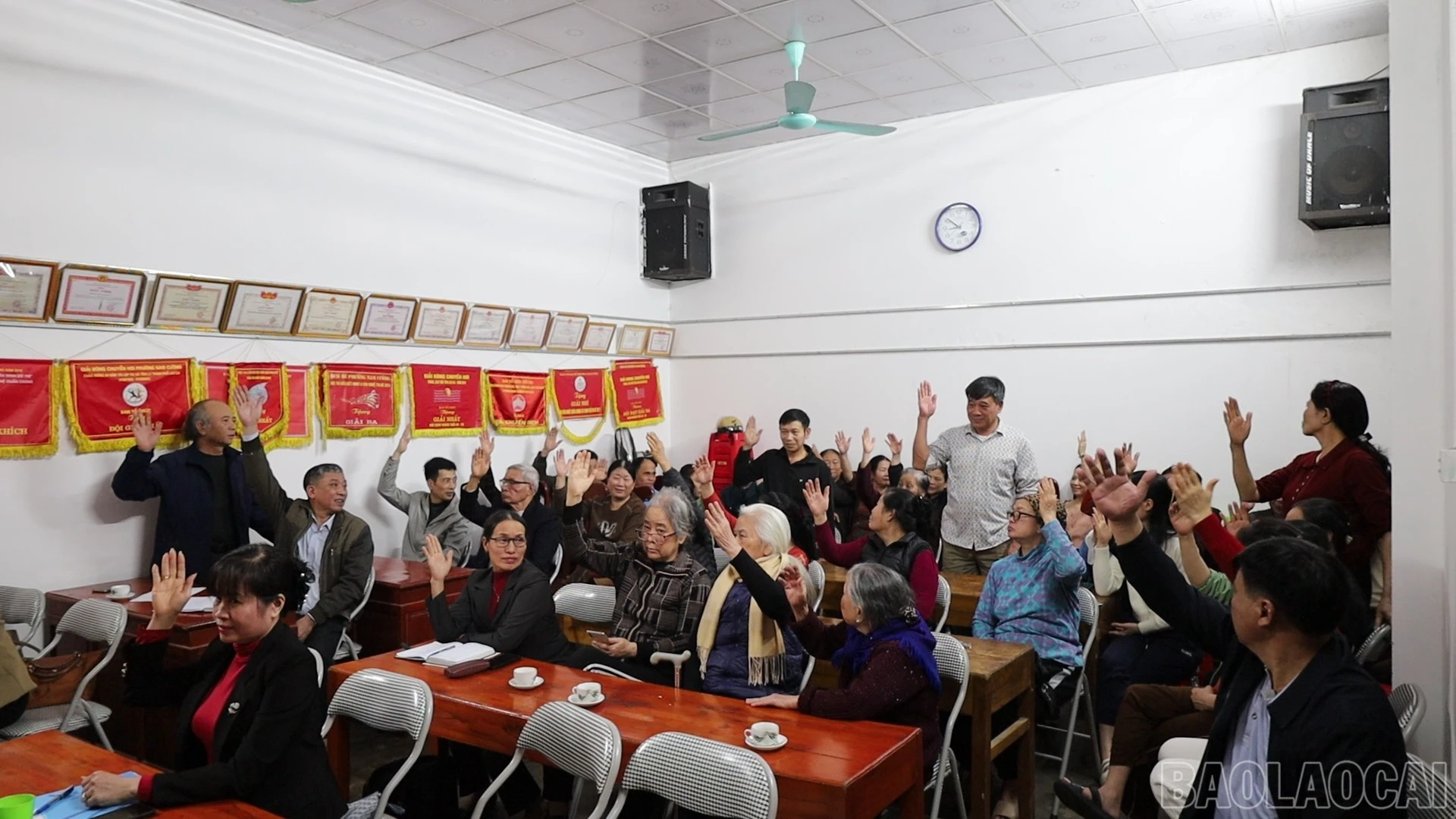 baolaocai-br_3-3223.jpg