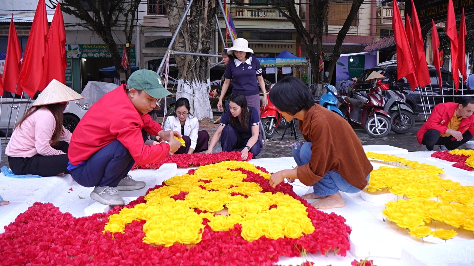 baolaocai-br_1-3329.jpg