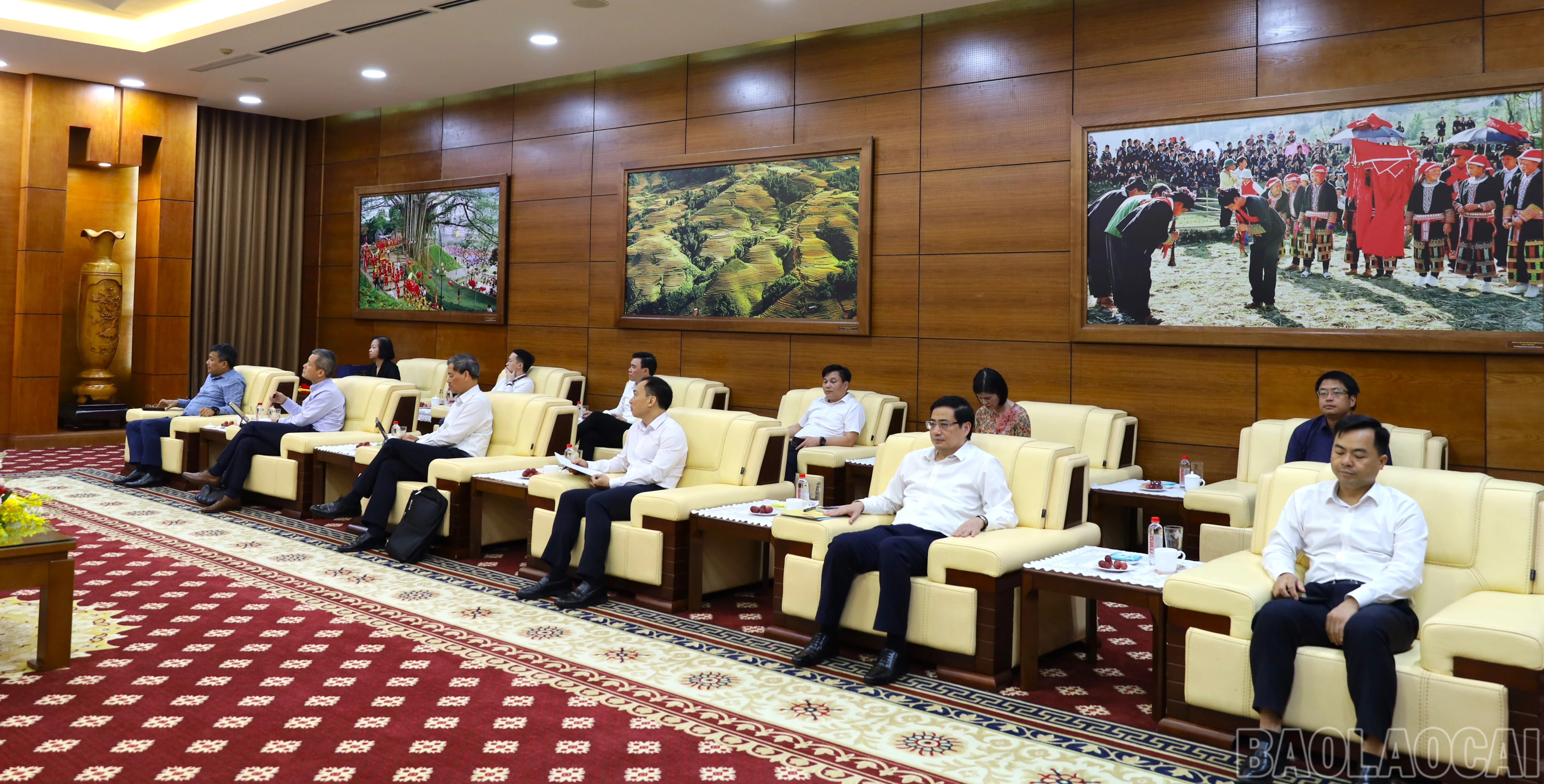 baolaocai-br_img-9785.jpg
