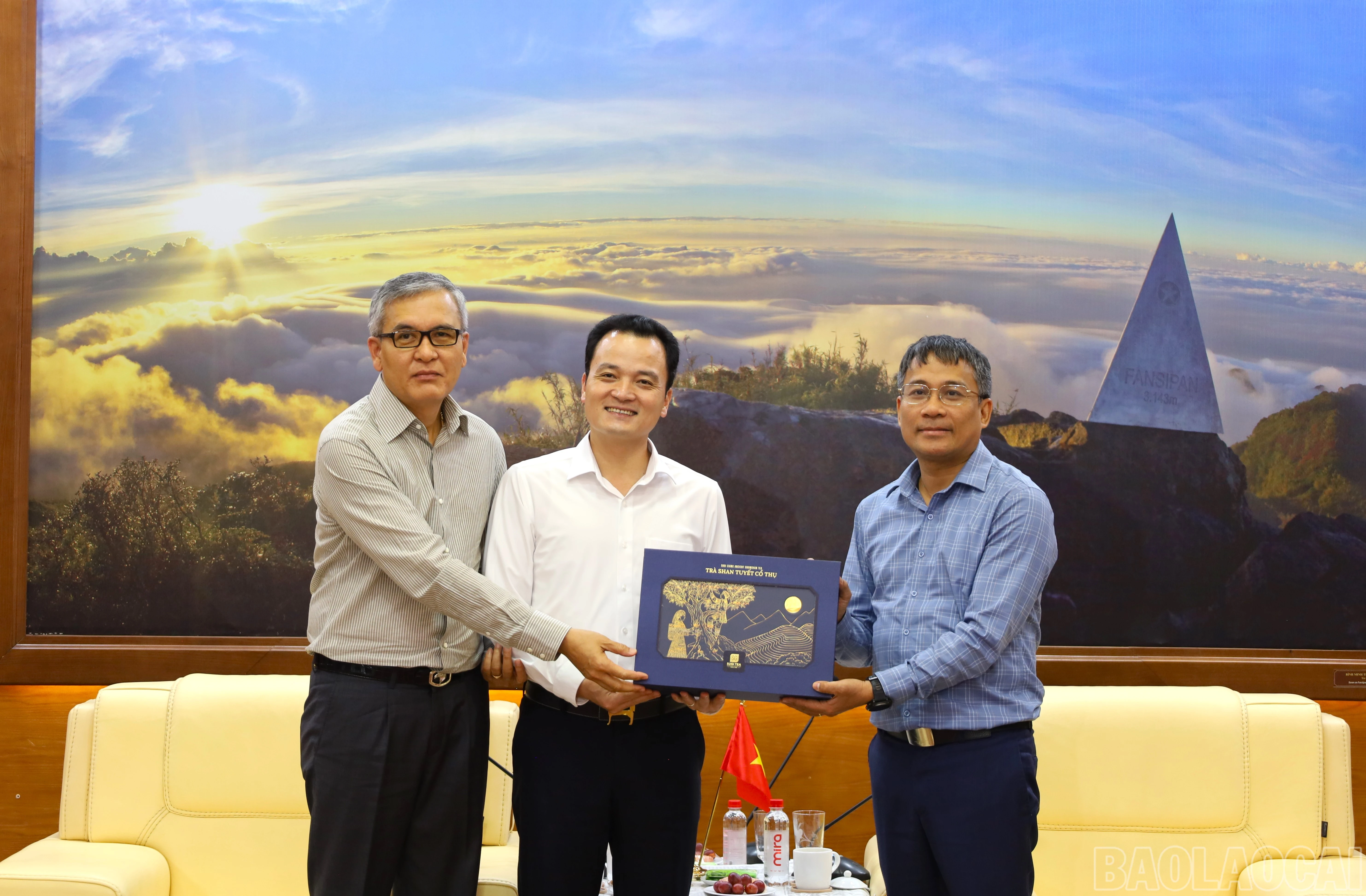 baolaocai-br_img-9828.jpg