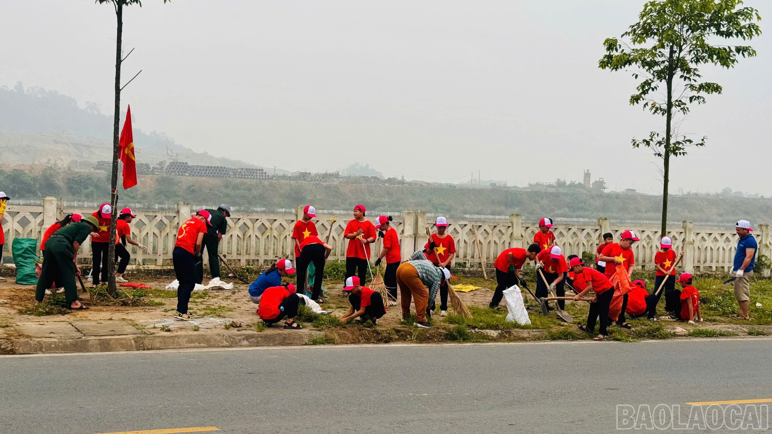 baolaocai-br_z7689434776895-12bc13d98025be221f967528a1e397bc.jpg