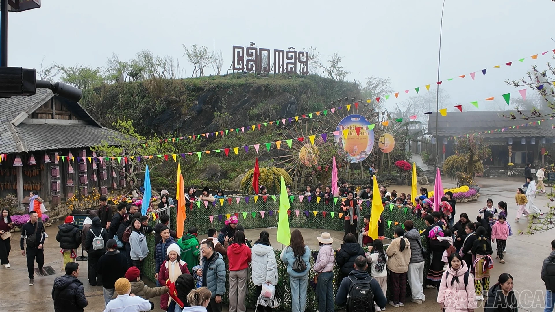 baolaocai-br_9.jpg