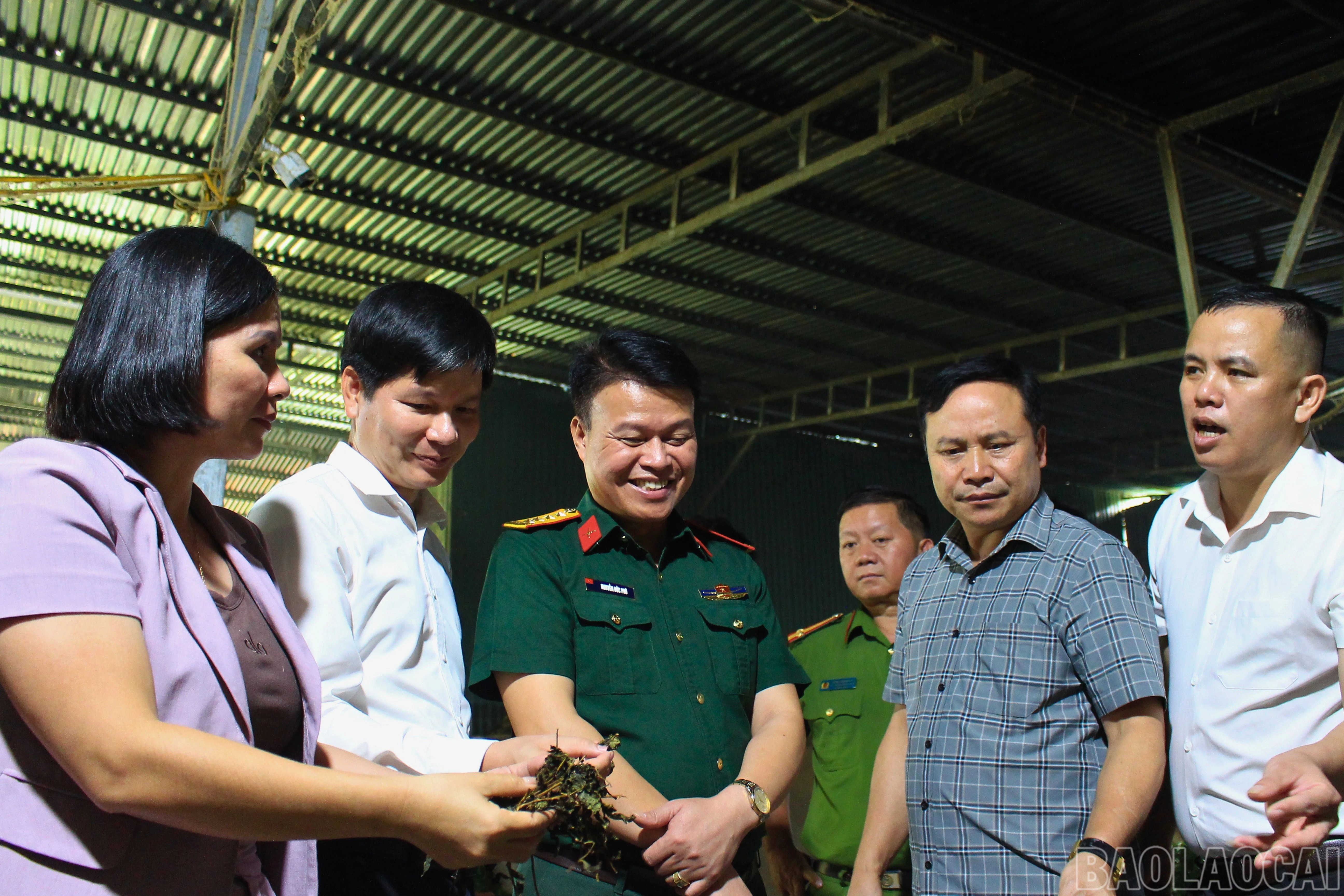 baolaocai-br_thiet-ke-chua-co-ten.jpg