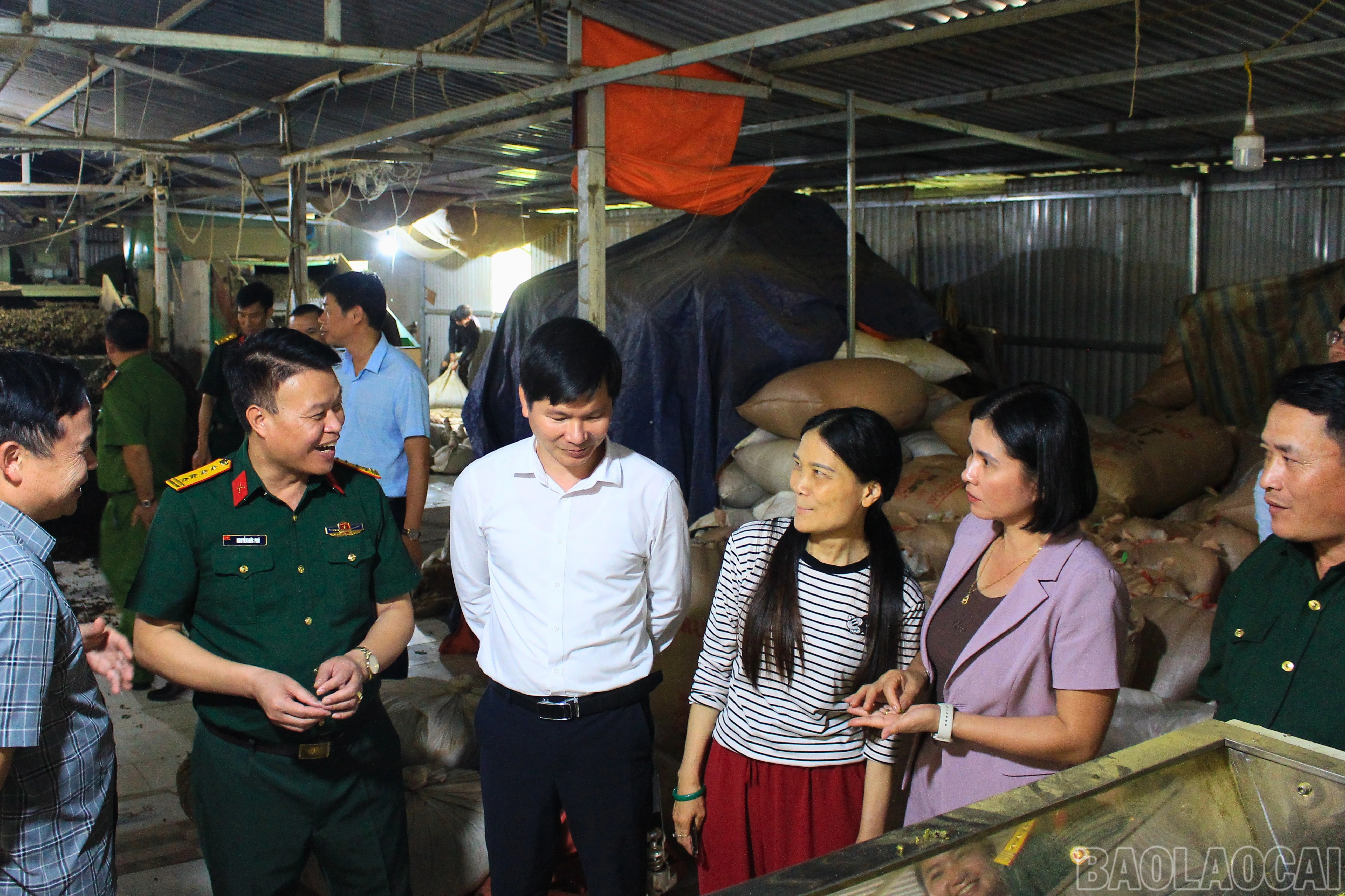 baolaocai-br_thiet-ke-chua-co-ten-1.jpg