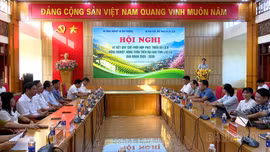 Lào Cai tăng cường phối hợp phát triển du lịch nông nghiệp, nông thôn
