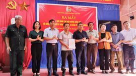 Hội Nông dân phường Lào Cai ra mắt Tổ Nông dân số và hỗ trợ cây giống cho hội viên