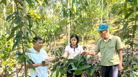 Tiếp sức cho hội viên nông dân phát triển kinh tế