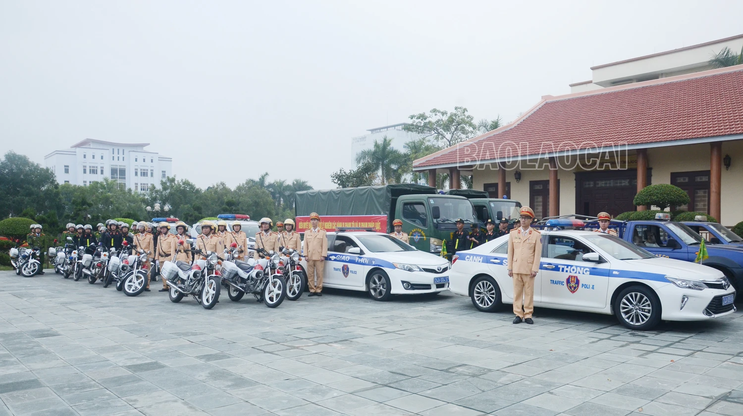 1212-6955.jpg