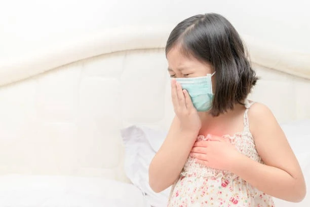 Đờm phải từ phế quản và phổi đi lên.