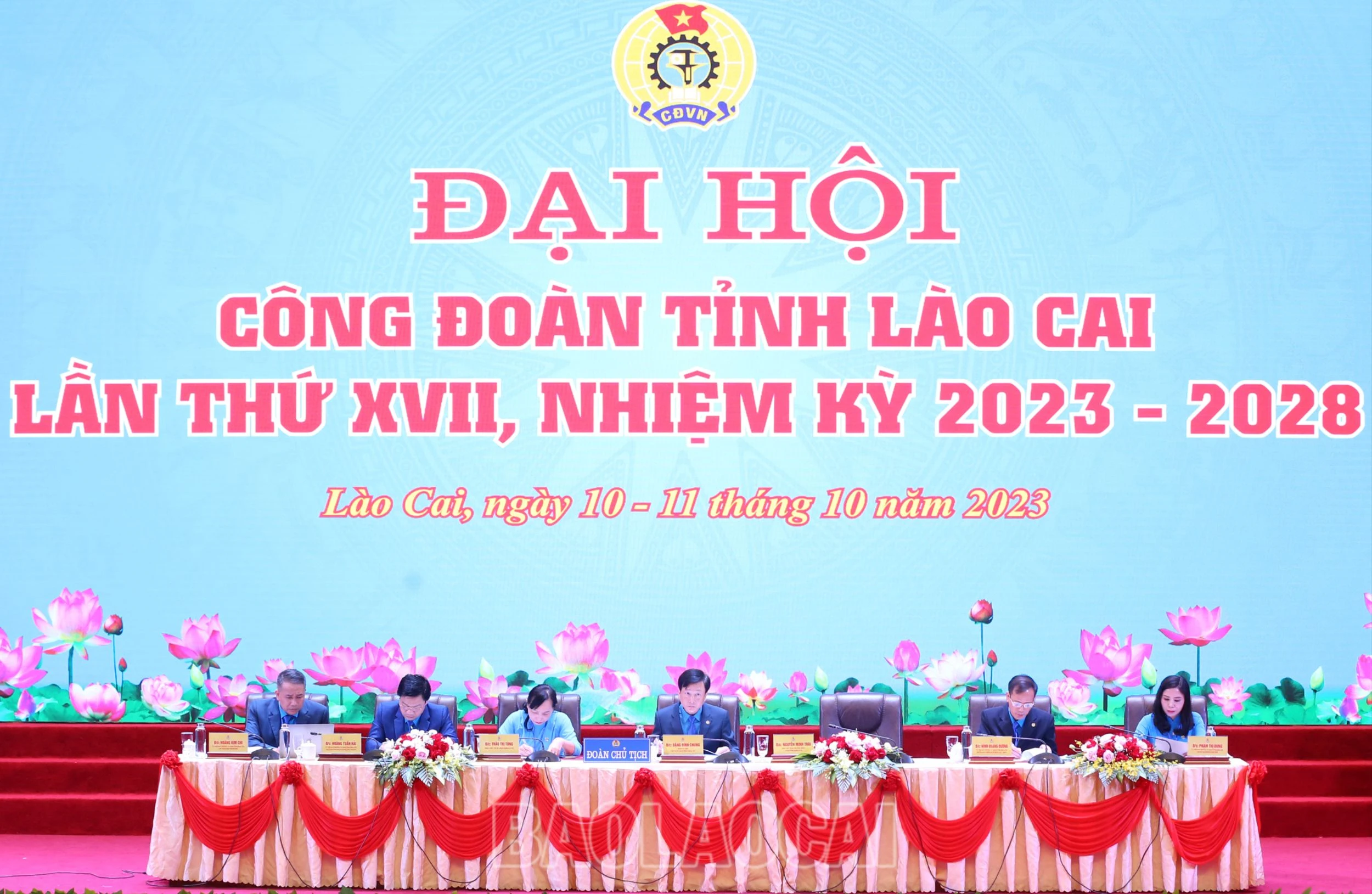 9777.jpg