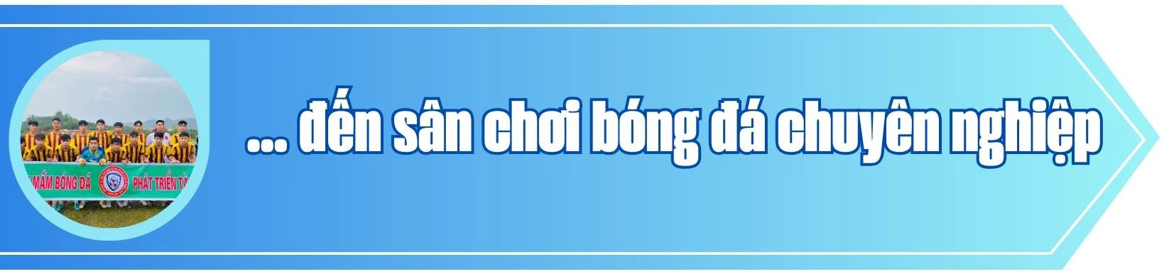 1C.jpg