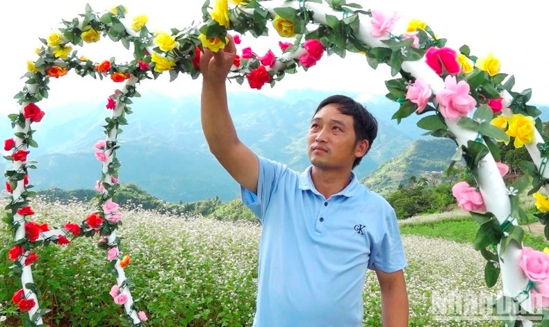 Làm đẹp đồi hoa tam giác mạch để đón khách tới thăm.