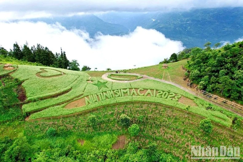 Đồi tam giác mạch trắng của gia đình anh Cư Seo Trô, ở Phố Thầu, Si Ma Cai là điểm đến ưa thích của du khách kỳ nghỉ lễ 2/9.