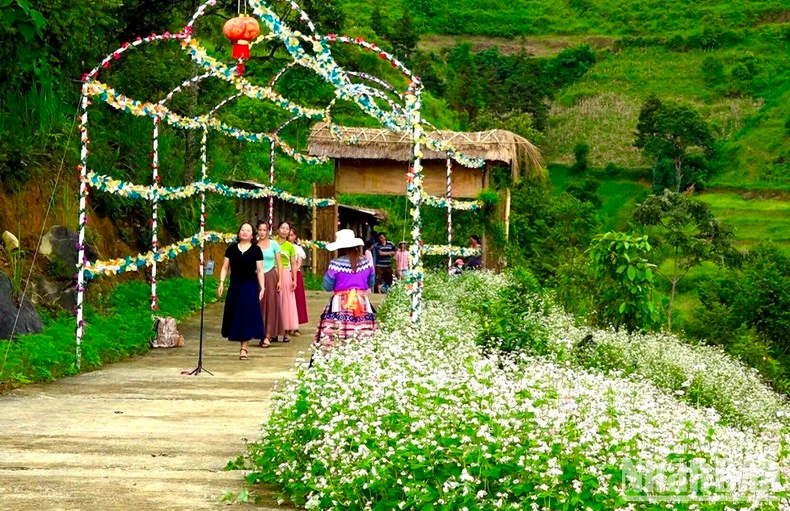 Đồng bào H'Mông làm thêm các điểm dừng chân ven đồi tam giác mạch để đón du khách dịp nghỉ lễ 2/9.