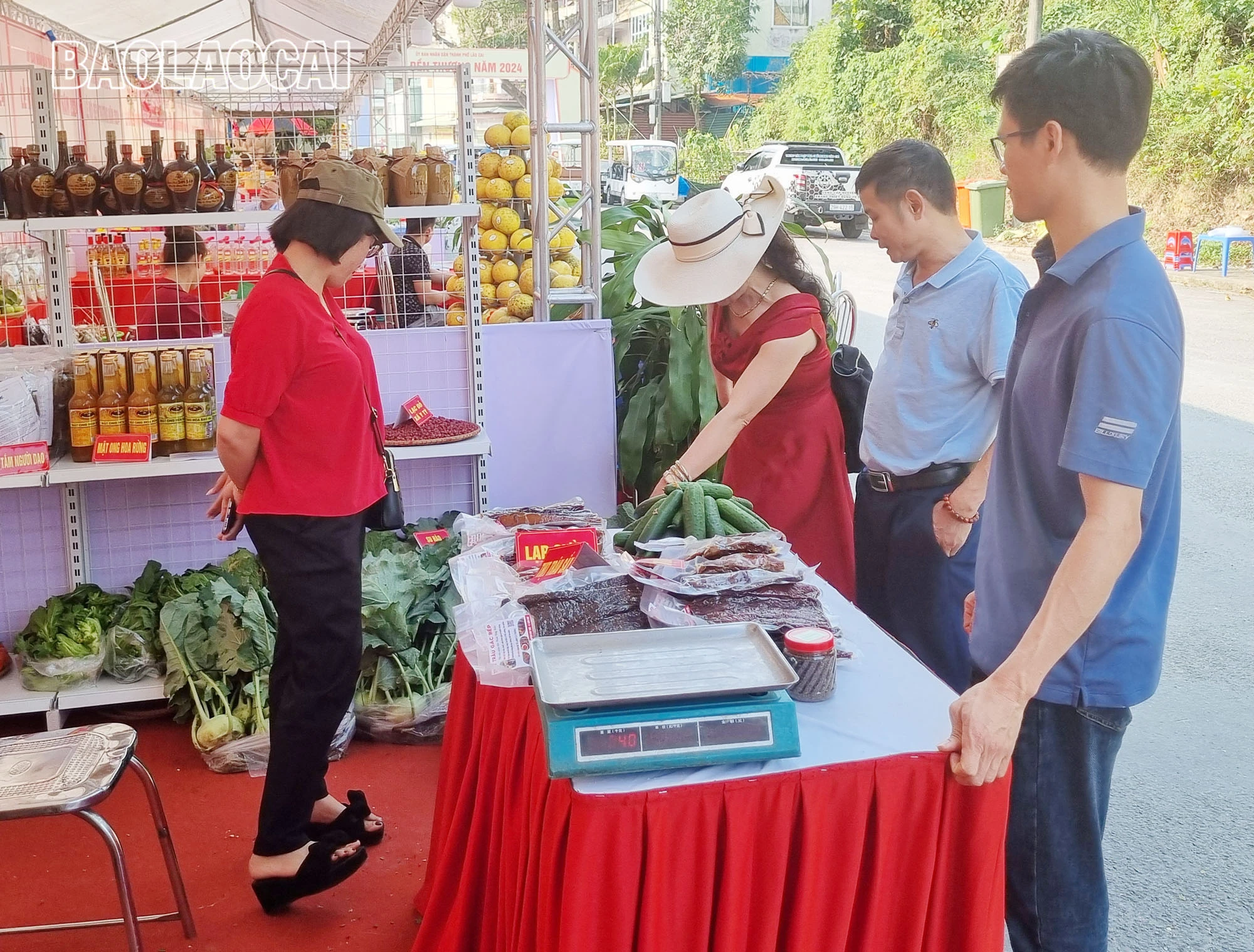 A1 (13).jpg