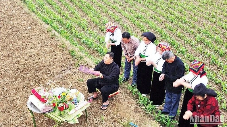 Lễ hội cầu mưa của người Thái trắng, xã Mường Sang, huyện Mộc Châu, tỉnh Sơn La.