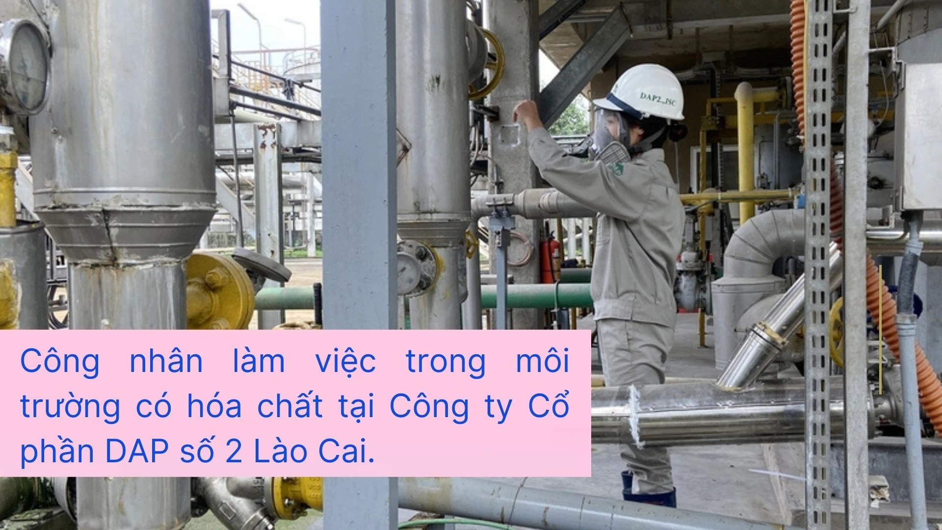 hoa chat.jpg