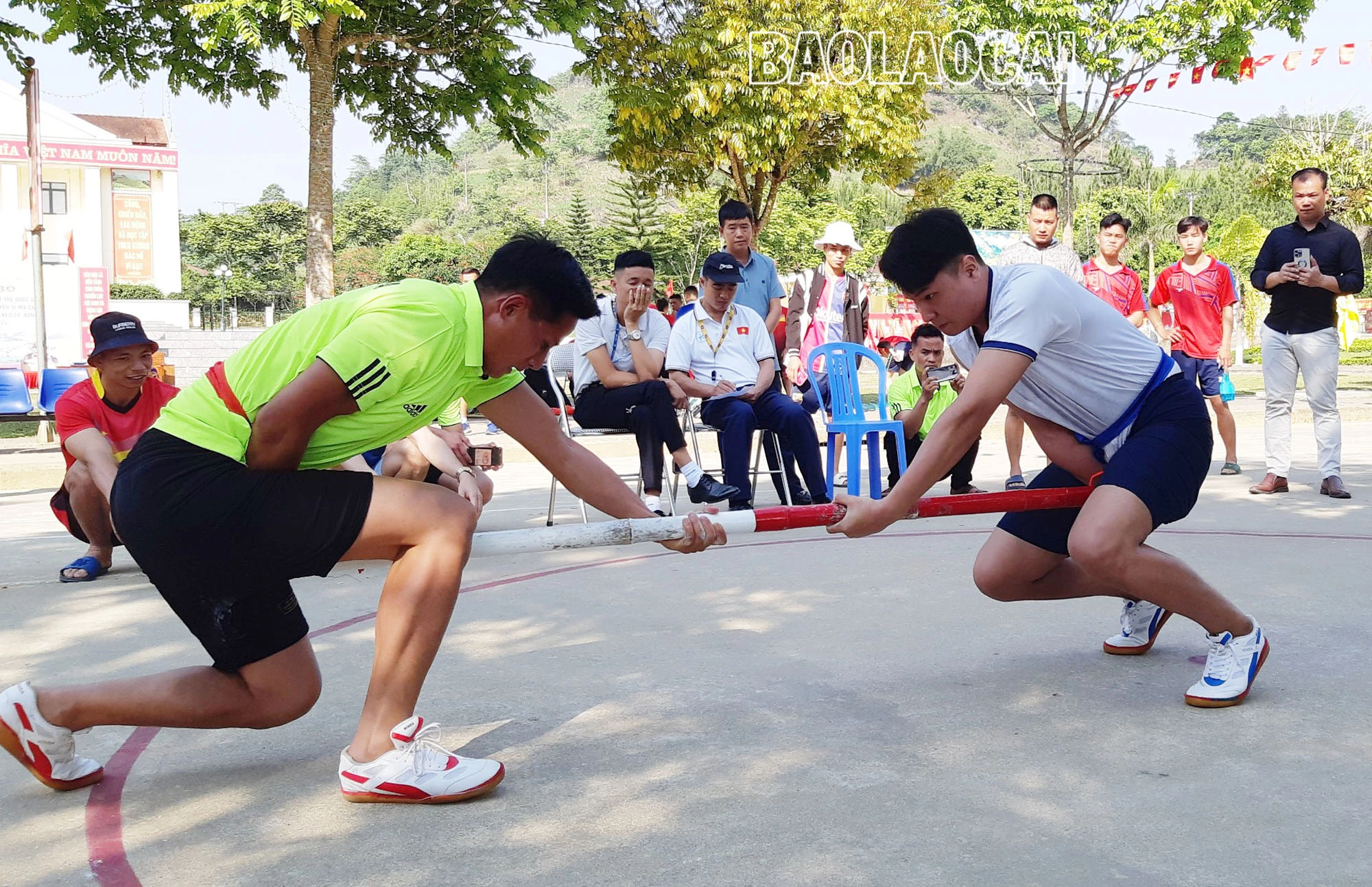 Hinh anh 1 (11).jpg