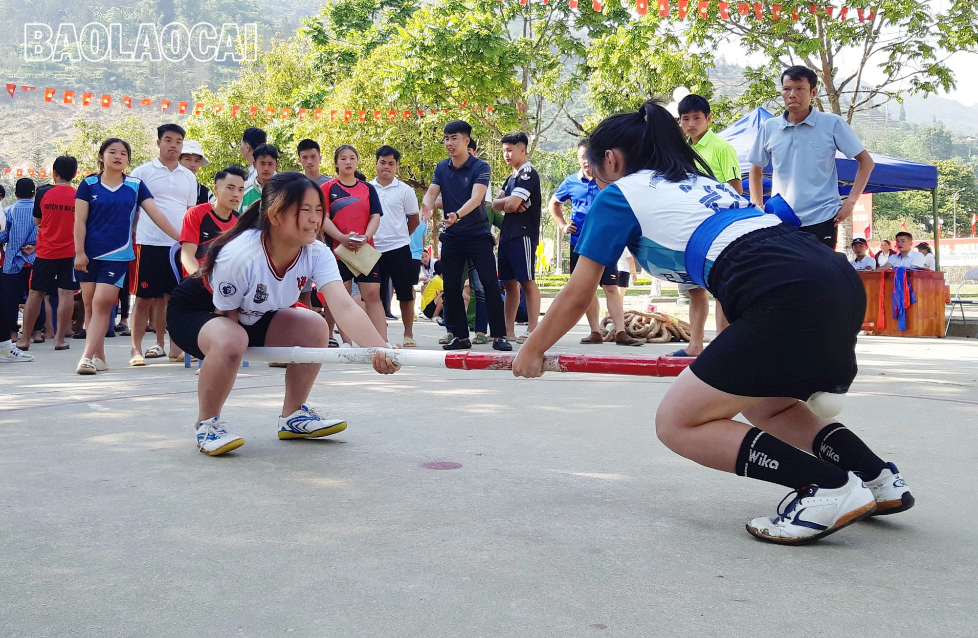 Hinh anh 1 (12).jpg