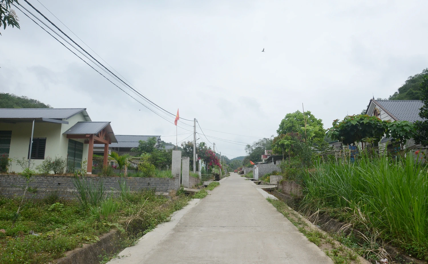 DSC_1964.JPG