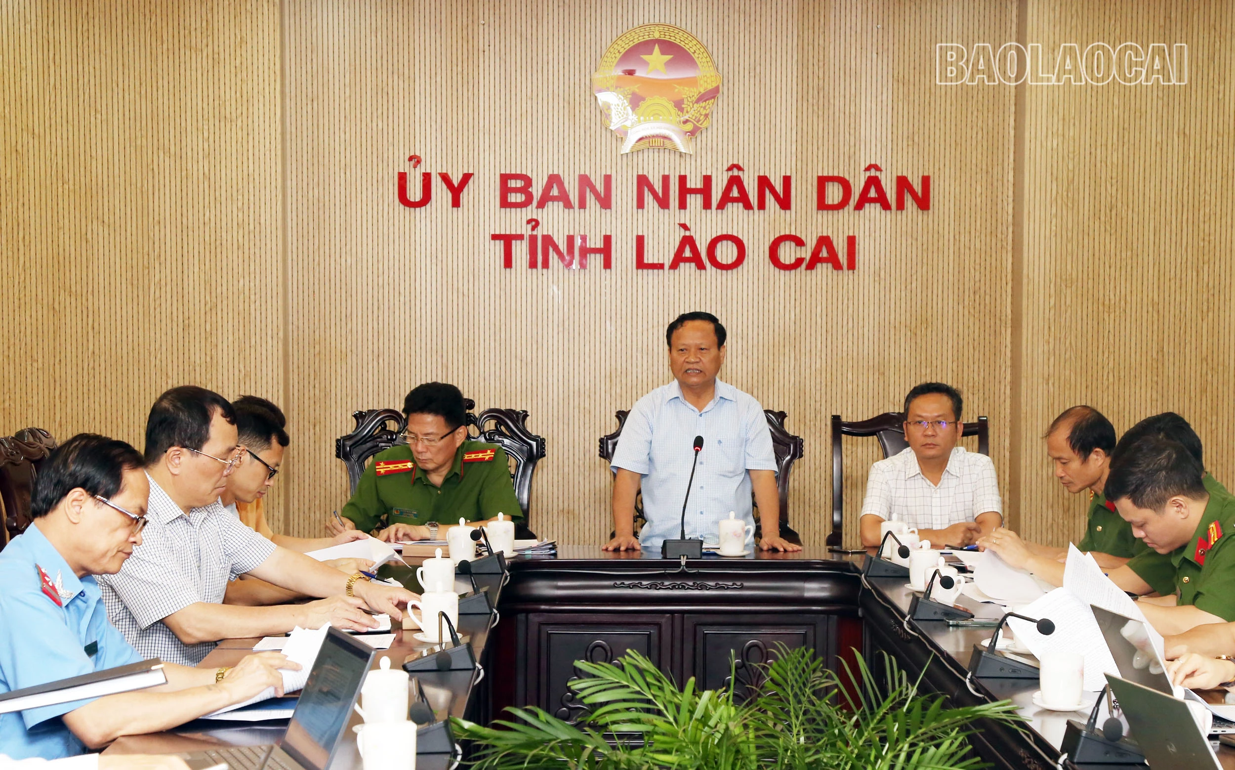 A01.jpg