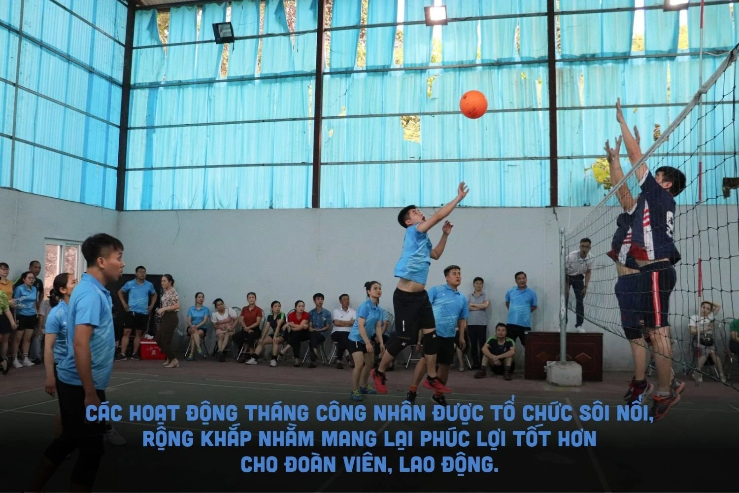 tcn1.jpg