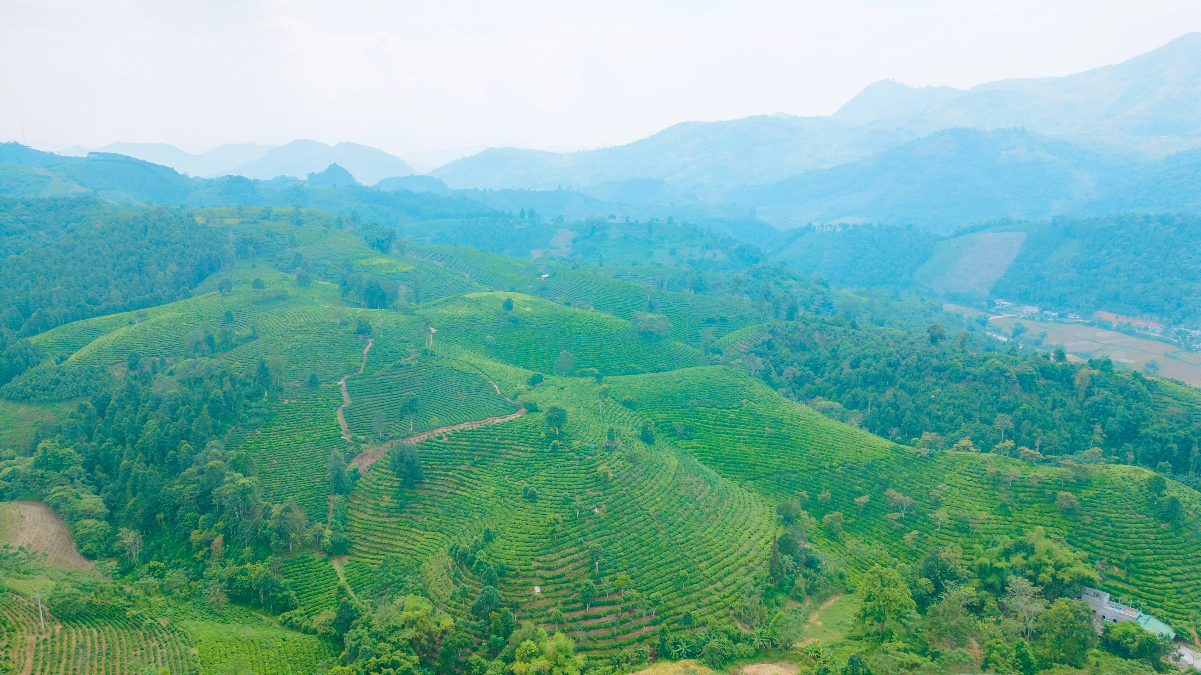 DJI_0794.jpg