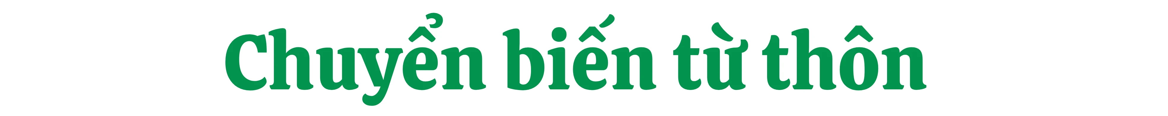 p 1.jpg