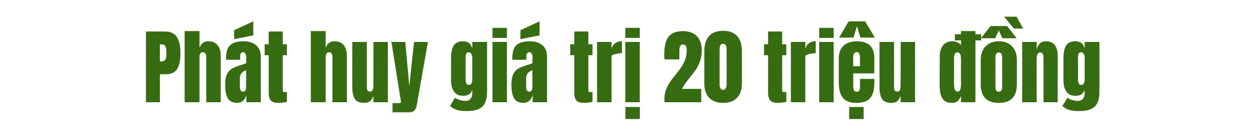 T 2.jpg
