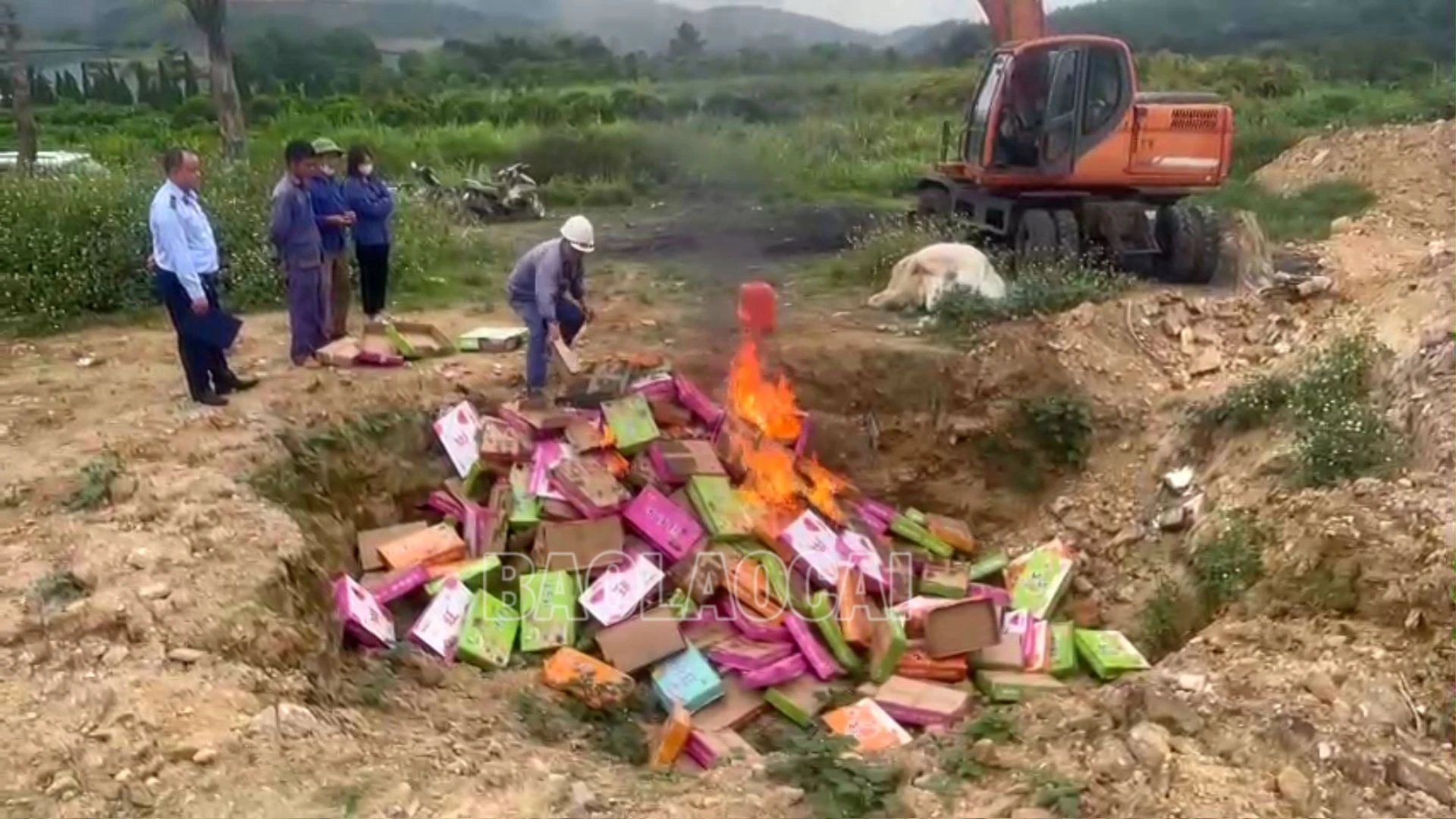 tieu huy hang.png