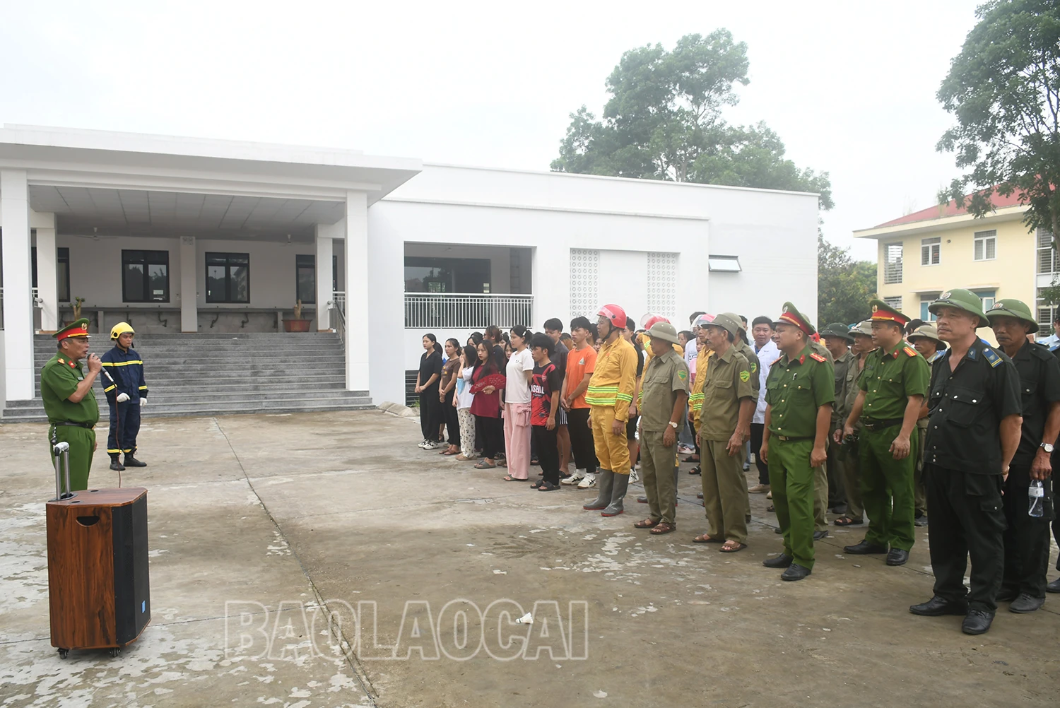 tn 8.jpg