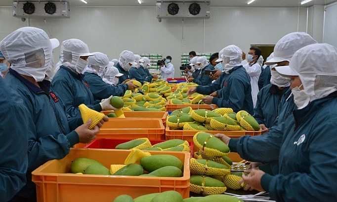 5 tháng đầu năm 2024, xuất khẩu ước đạt 156,5 tỷ USD, tăng 15% so với cùng kỳ năm trước.