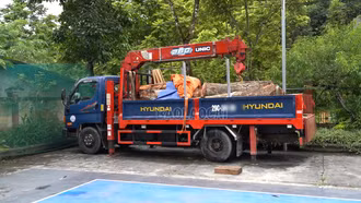 Tạm giữ phương tiện vận chuyển lâm sản để xác minh nguồn gốc