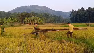 Liên tiếp phát hiện điểm bẫy chim tại nhiều địa phương