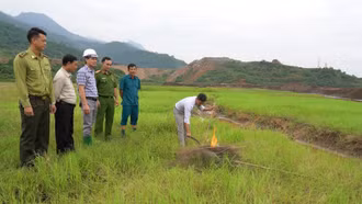 Cần giải pháp hiệu quả hơn để bảo vệ chim di cư