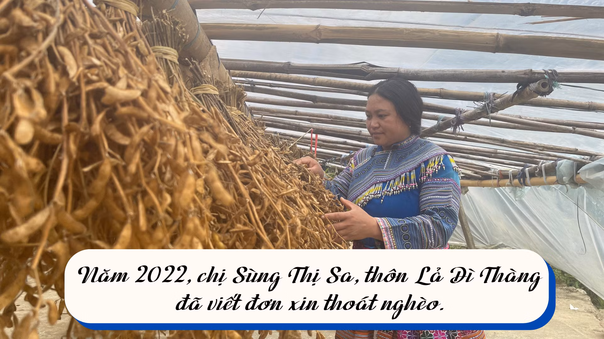 noi-dung-doan-van-ban-cua-ban-9175-5635.png