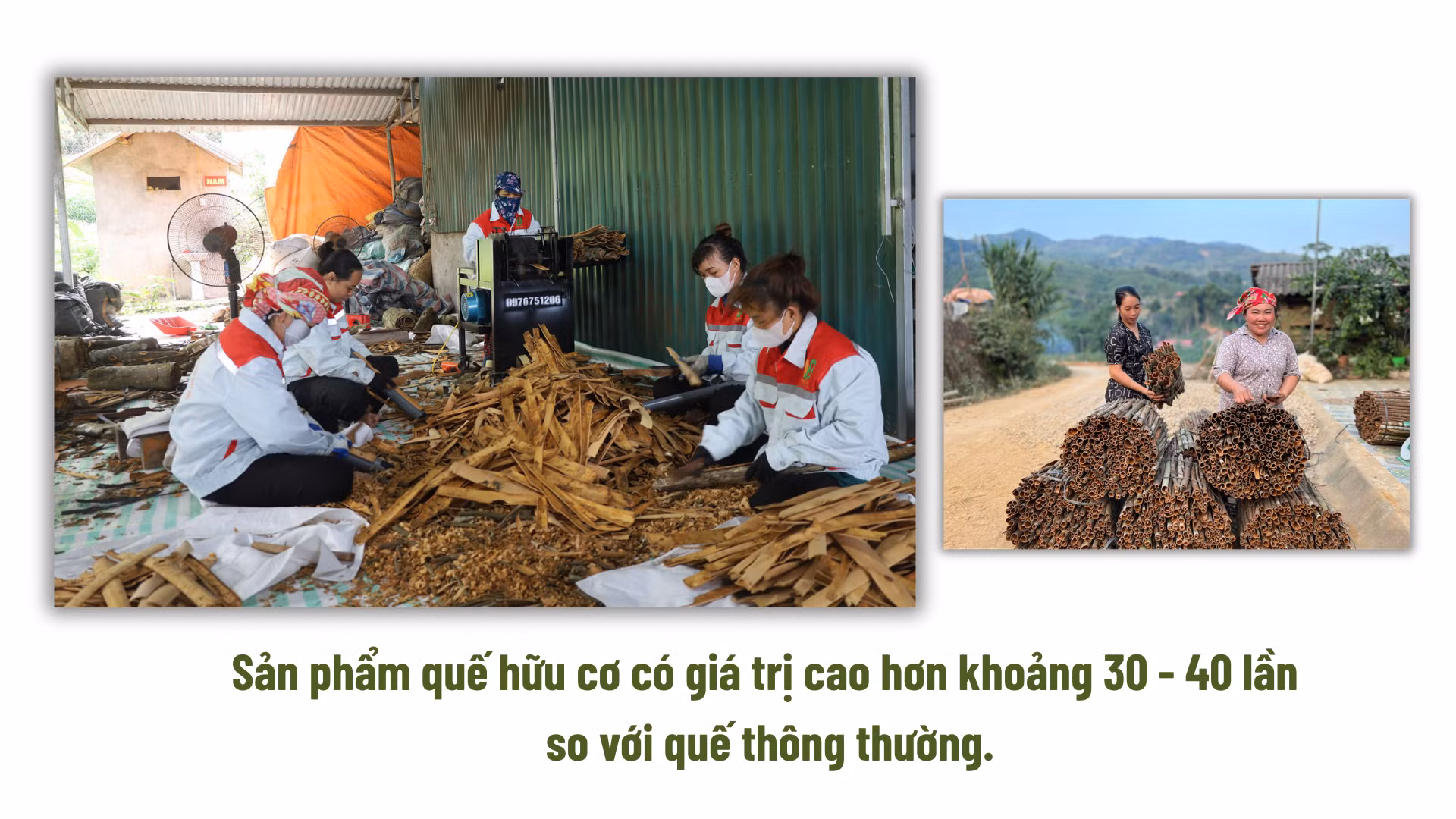 ban-sao-cua-ban-sao-cua-them-tieu-de-phu-9056.png