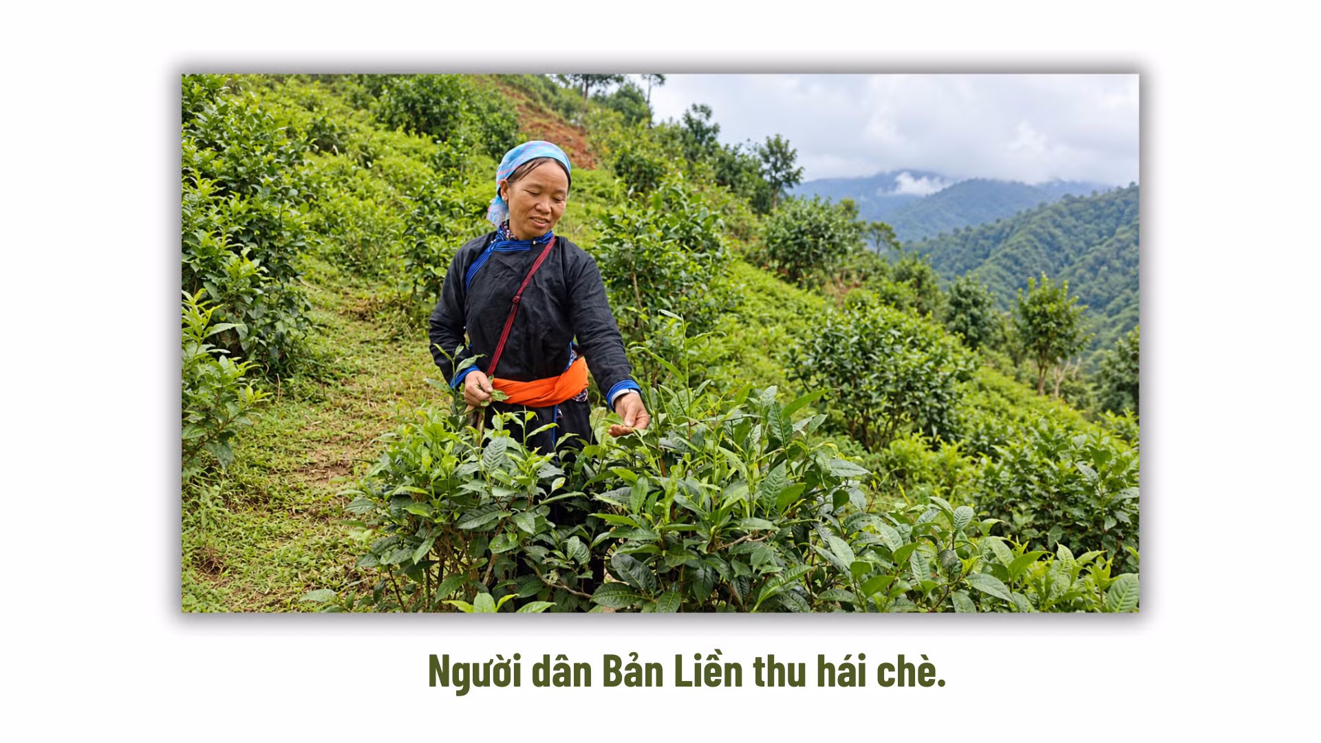 ban-sao-cua-ban-sao-cua-them-tieu-de-phu-2144.png