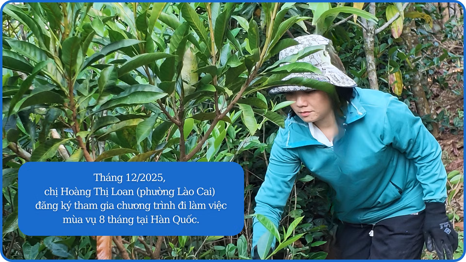 ban-sao-cua-ban-sao-cua-them-tieu-de-3489.png
