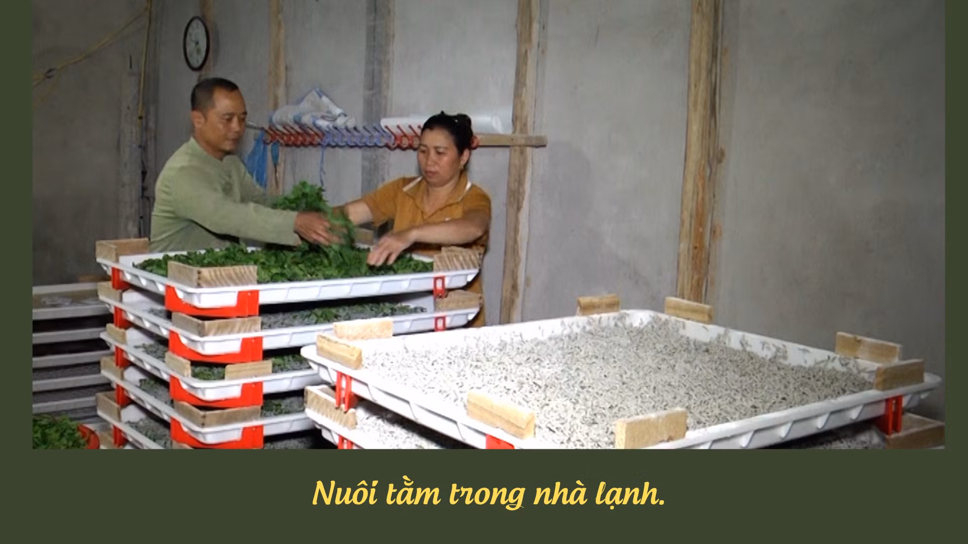 huong-toi-gia-tri-ben-vung-6.png