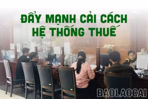 Hoàn thiện hệ thống chính sách thuế gắn với cơ cấu lại thu ngân sách nhà nước 