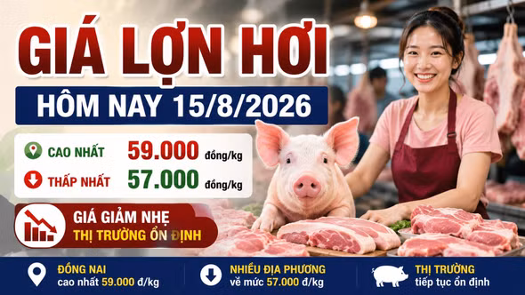 Giá lợn hơi hôm nay 15/8: Một nửa địa phương còn 57.000 đồng/kg