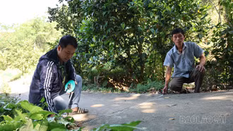 Bảo Thắng thành lập 4 tổ thống kê, kiểm đếm phục vụ giải phóng mặt bằng dự án đường sắt