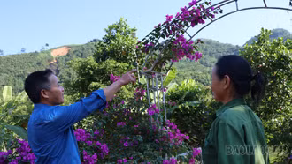 Ghi nhận từ mô hình "Chi bộ bốn tốt" ở Bảo Yên