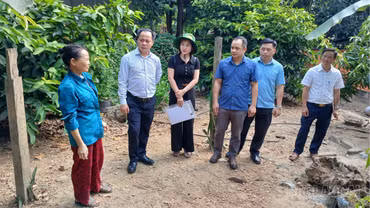 Khảo sát xây dựng mô hình nuôi gà thương phẩm tại Bảo Nhai