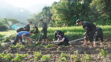 Việt Hồng trồng thử nghiệm 0,36 ha cúc chi gắn với phát triển du lịch cộng đồng
