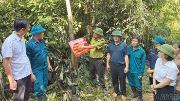 Lào Cai tăng cường bảo vệ rừng, phòng cháy, chữa cháy rừng mùa khô hanh 2026 - 2027