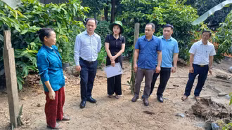 Khảo sát xây dựng mô hình nuôi gà thương phẩm tại Bảo Nhai
